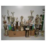 (20) ALDC Trophies   tallest 27 inches