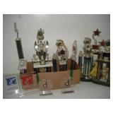 (17) ALDC Trophies   tallest 28 inches