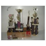 (12) ALDC Trophies   tallest 32 inches