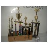 (12) ALDC Trophies   tallest 36 inches