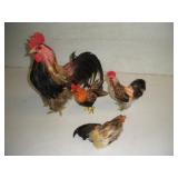 Feathered Rooster Decoration