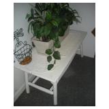 Table and Plants