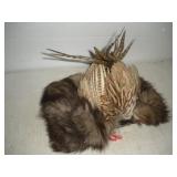 Bird Feather Hat
