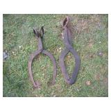 Ice tongs