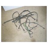 Bungee Straps