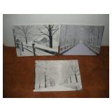 3 LIGHTED CANVICE PRINTS 16X12