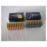 (100) .22 CAL LR CARTRIDGES