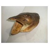 MUSKY HEAD MOUNT 9IN LONG