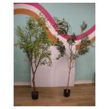 (2) FAUX FIG PLANTS 6 FT TALL