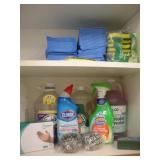 CLEANING PRODUCTS CONTENTS OF SHELF