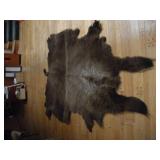 PELT POSSIBLY BUFFALO