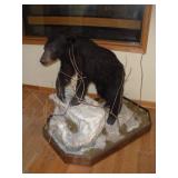 BROWN BEAR CUB MOUNT W/ DISPLAY ON WHEELS