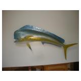54 INCH BULL MAHI-MAHI FIBERGLASS FISH MOUNT