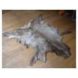 ELK PELT