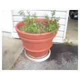 Large Flower Pot 25 inch Rd x 21 inch tall