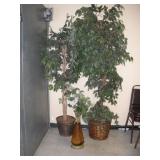 (3) FAUX PLANTS TALLEST 8FT