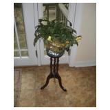 LIVE CHRISTMAS CACTUS W/ PLANT STAND