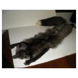 Fox Stole 52 Inches Long Fox Stole 52 Inches Long