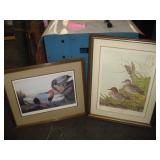 Framed Pictures 34 x 27 inch