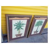 Two framed photos of palm trees in planters