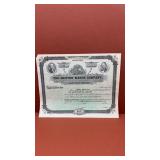 Vintage  Drifton Water Company  Stock