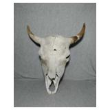 Buffalo Skull. Approximately 17", & 20"  to the