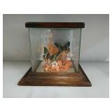 Butterfly Diorama