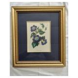 Floral Print 'Thunberger chrysops'