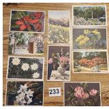 10 - Postcards