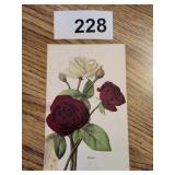 1 - Tuck's Postcard