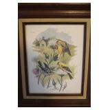 Goldfinch Print by Costello