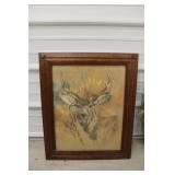 Buck in the Woods Print