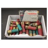 12 ga. Slugs