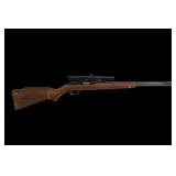 Glenfield Model 60 .22 Cal. Semi-Auto Rifle