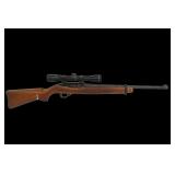 Ruger Model 10/22 Semi Auto Rifle