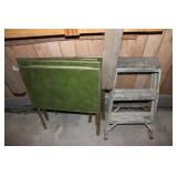 Step Ladder & TV Trays