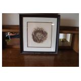 Raccoon Framed Ink
