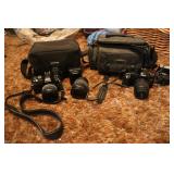 Canon & Olympus Digital Cameras