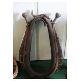 Horse Collar