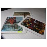 Framed Puzzle Pictures