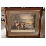 23" x 27"  White Tail Buck Print