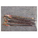 Assorted Arrows