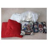 Lace Curtains & Decorative Pillows