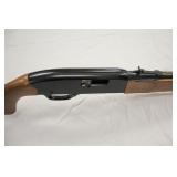 Winchester Model 190 .22 cal Semi-Auto Rifle