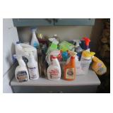 Cleaning Supplies
