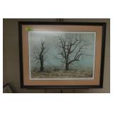 31.5" x 25" Helen Rundell Tree Print