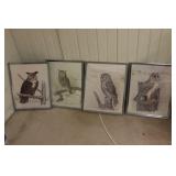 15" x 20.5" E. Ranbow Owl Prints
