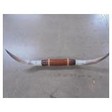 Longhorn Horns