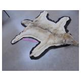 Coyote hide rug