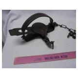 Victor steel trap